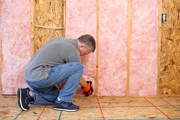 Eco-Friendly or Green Insulation Solutions in Warren, IN